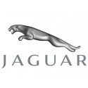 Logo marque voiture Jaguar
